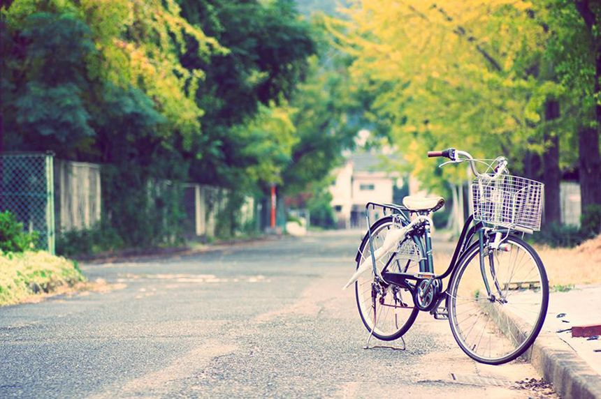 Nhat Ban dep mo mang thoi khac chuyen mua sang thu 24